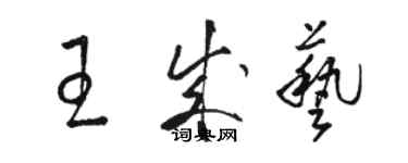 駱恆光王成藝草書個性簽名怎么寫