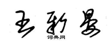 朱錫榮王新晏草書個性簽名怎么寫