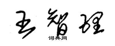 朱錫榮王智理草書個性簽名怎么寫