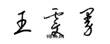 梁錦英王雯曼草書個性簽名怎么寫