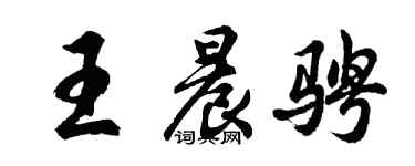 胡問遂王晨騁行書個性簽名怎么寫