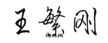 駱恆光王繁剛行書個性簽名怎么寫