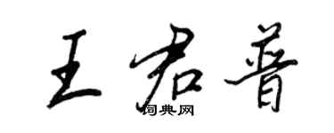 王正良王君普行書個性簽名怎么寫