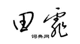 梁錦英田霏草書個性簽名怎么寫