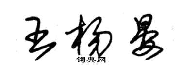 朱錫榮王楊晏草書個性簽名怎么寫