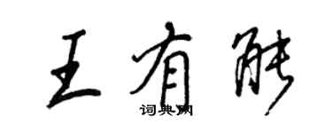 王正良王有能行書個性簽名怎么寫