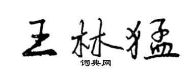 曾慶福王林猛行書個性簽名怎么寫