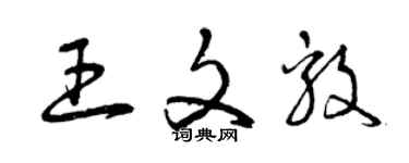 曾慶福王文毅草書個性簽名怎么寫