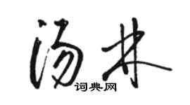 駱恆光湯林草書個性簽名怎么寫
