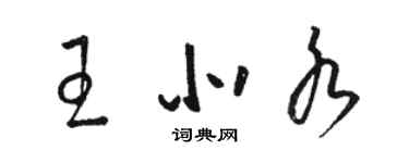 駱恆光王北水草書個性簽名怎么寫