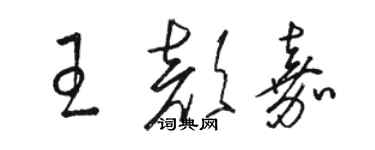 駱恆光王顏嘉草書個性簽名怎么寫