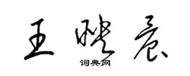 梁錦英王映晨草書個性簽名怎么寫