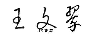 駱恆光王文翠草書個性簽名怎么寫