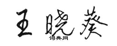 駱恆光王曉葵行書個性簽名怎么寫