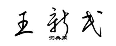 梁錦英王新民草書個性簽名怎么寫