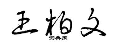 曾慶福王柏文草書個性簽名怎么寫