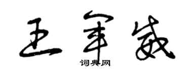 曾慶福王軍威草書個性簽名怎么寫