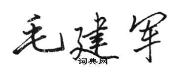 駱恆光毛建軍行書個性簽名怎么寫