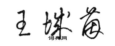 駱恆光王城茵草書個性簽名怎么寫