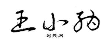 曾慶福王小納草書個性簽名怎么寫