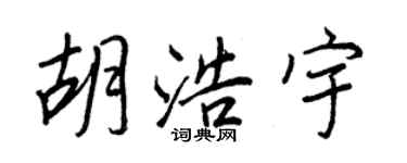 王正良胡浩宇行書個性簽名怎么寫