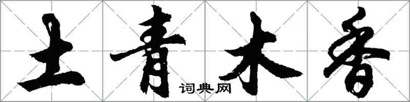 胡問遂土青木香行書怎么寫