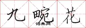 田英章九畹花楷書怎么寫