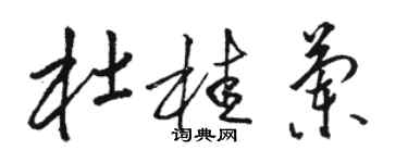 駱恆光杜桂蘭草書個性簽名怎么寫