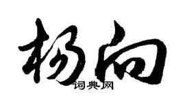胡問遂楊向行書個性簽名怎么寫