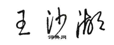 駱恆光王沙湖草書個性簽名怎么寫