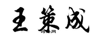 胡問遂王策成行書個性簽名怎么寫