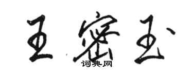 駱恆光王密玉行書個性簽名怎么寫