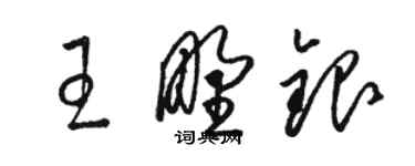 駱恆光王野銀草書個性簽名怎么寫