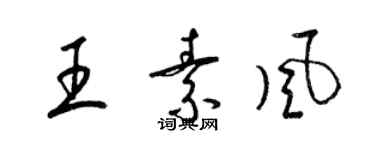 梁錦英王素風草書個性簽名怎么寫