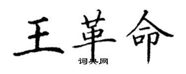 丁謙王革命楷書個性簽名怎么寫