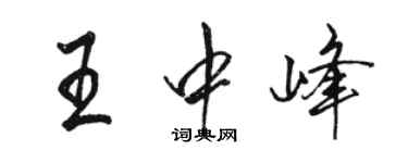 駱恆光王中峰行書個性簽名怎么寫