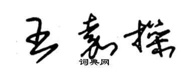 朱錫榮王嘉操草書個性簽名怎么寫