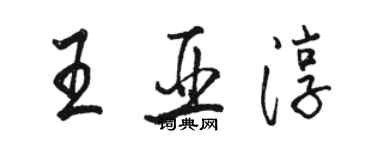 駱恆光王亞淳行書個性簽名怎么寫