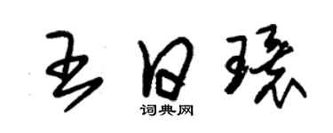 朱錫榮王日環草書個性簽名怎么寫