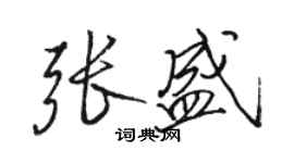 駱恆光張盛行書個性簽名怎么寫