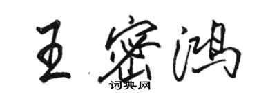 駱恆光王密鴻行書個性簽名怎么寫