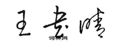 駱恆光王書晴草書個性簽名怎么寫