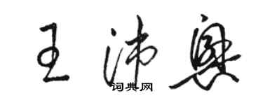 駱恆光王沛興草書個性簽名怎么寫