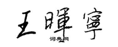 王正良王暉寧行書個性簽名怎么寫