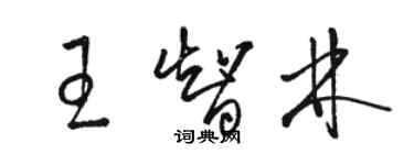 駱恆光王智林草書個性簽名怎么寫