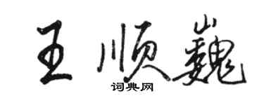 駱恆光王順巍行書個性簽名怎么寫