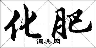 胡問遂化肥行書怎么寫