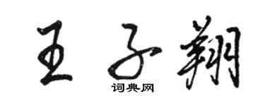 駱恆光王子翔行書個性簽名怎么寫