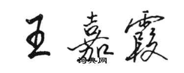 駱恆光王嘉霞行書個性簽名怎么寫