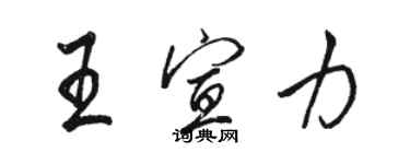 駱恆光王宣力行書個性簽名怎么寫